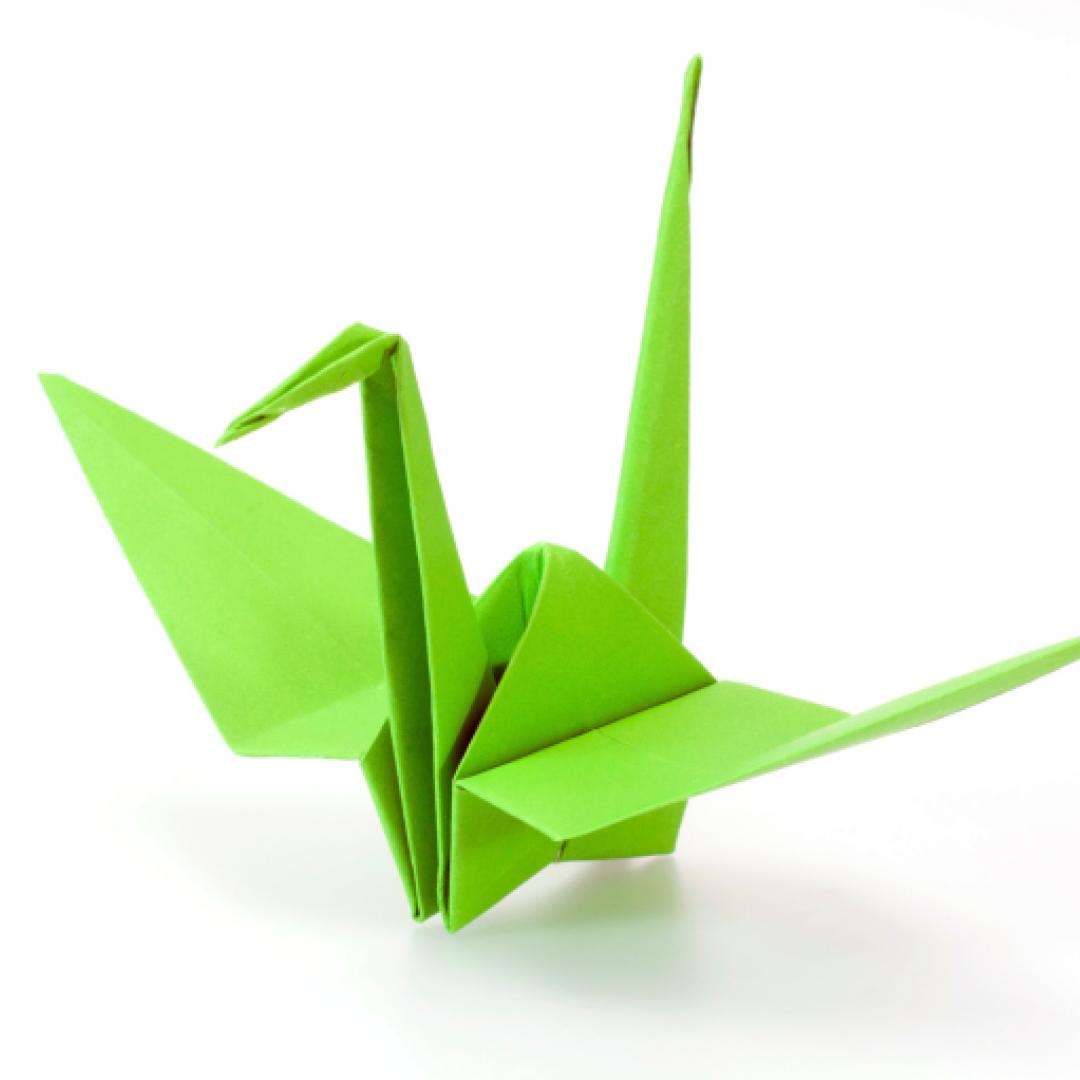 Origami cisne